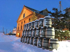 北海道關(guān)西七日漫游記 冰雪溫泉與古都風(fēng)華的完美邂逅